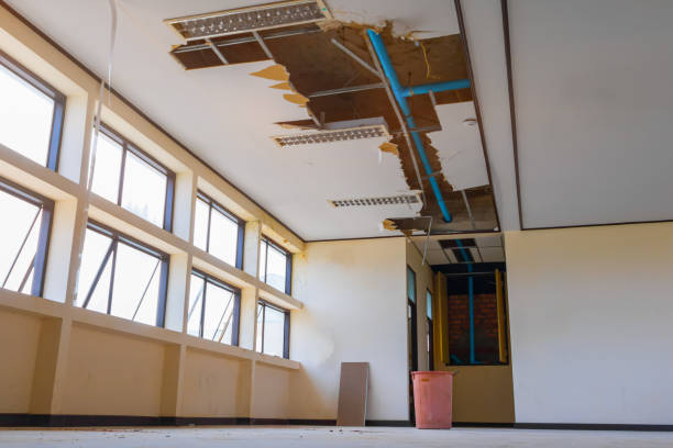 Best 24-hour water damage restoration  in Gibsonton, FL