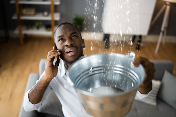 Best Fire Damage Restoration  in Gibsonton, FL