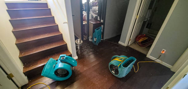 Best Commercial water damage restoration  in Gibsonton, FL