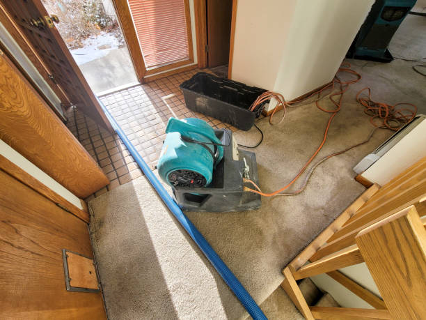 Best Residential water damage restoration  in Gibsonton, FL
