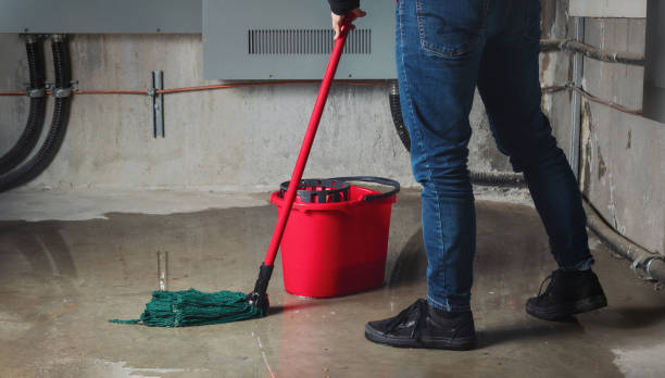 Best Mold removal after water damage  in Gibsonton, FL