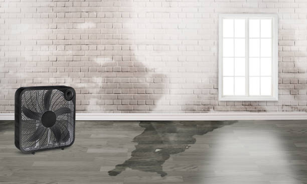 Best Sewage cleanup and water damage restoration  in Gibsonton, FL