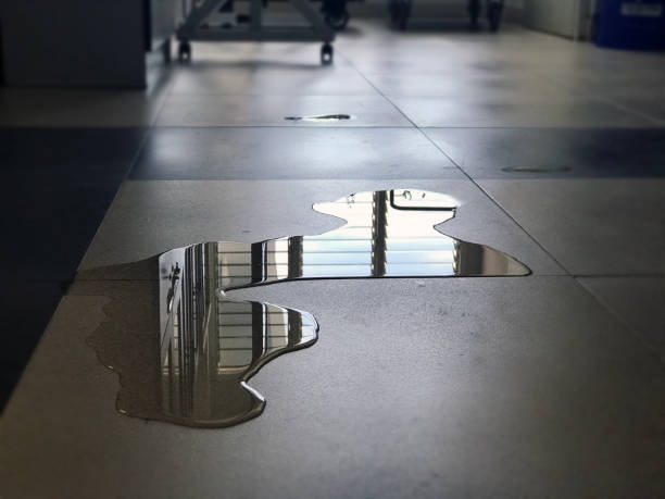 Best Professional water damage repair  in Gibsonton, FL