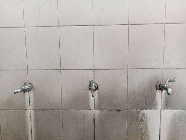 Best Sewage cleanup and water damage restoration  in Gibsonton, FL
