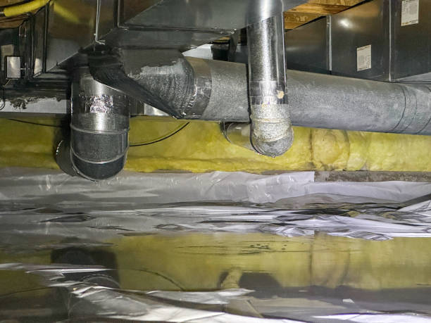 Best Flood damage cleanup  in Gibsonton, FL