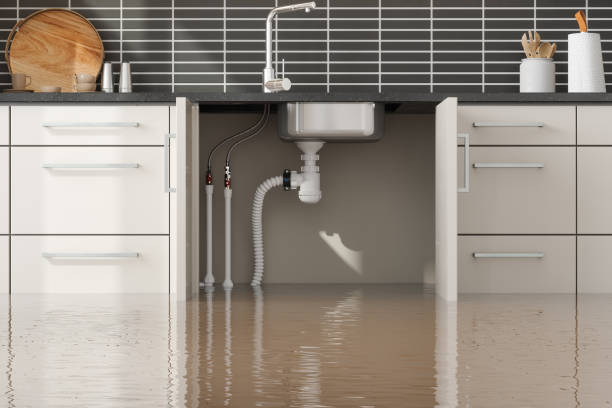 Best Water damage restoration mold remediation  in Gibsonton, FL