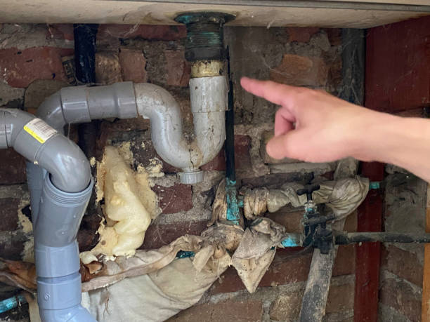 Best Ceiling water damage repair  in Gibsonton, FL