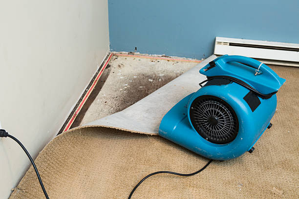 Best Water damage restoration near me  in Gibsonton, FL